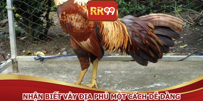 Nhận biết vảy địa phủ một cách dễ dàng